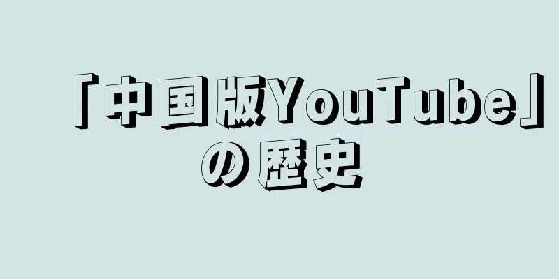 「中国版YouTube」の歴史