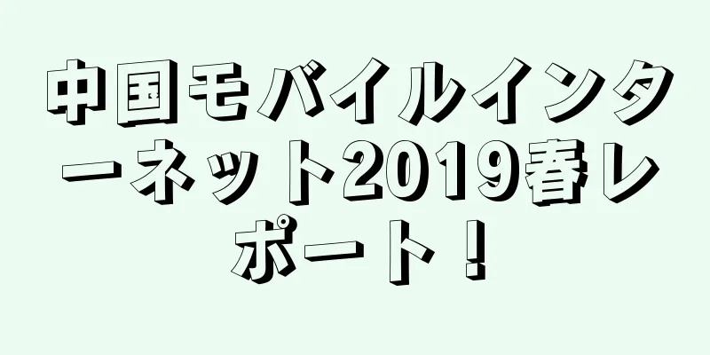 中国モバイルインターネット2019春レポート！