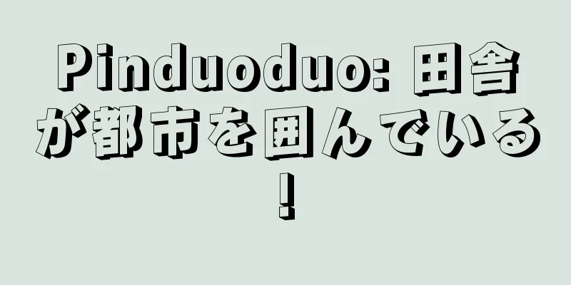 Pinduoduo: 田舎が都市を囲んでいる!