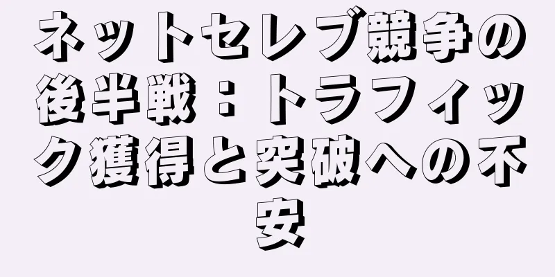 ネットセレブ競争の後半戦：トラフィック獲得と突破への不安