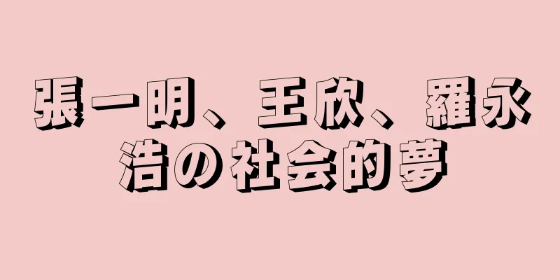 張一明、王欣、羅永浩の社会的夢