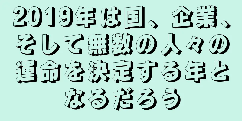 2019年は国、企業、そして無数の人々の運命を決定する年となるだろう