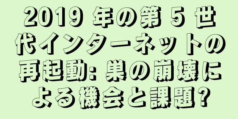 2019 年の第 5 世代インターネットの再起動: 巣の崩壊による機会と課題?