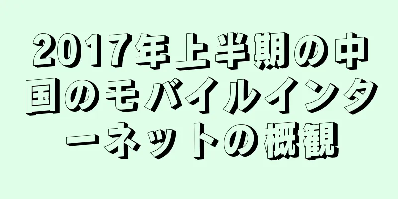 2017年上半期の中国のモバイルインターネットの概観
