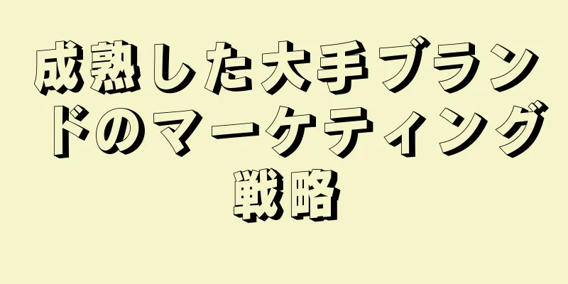 成熟した大手ブランドのマーケティング戦略