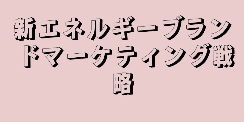 新エネルギーブランドマーケティング戦略