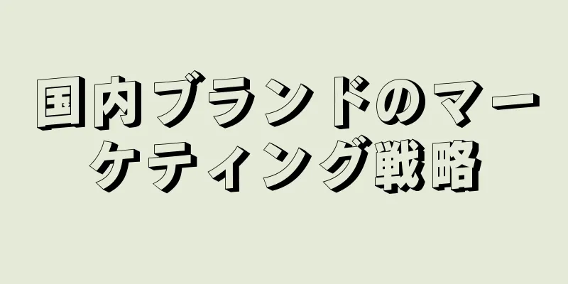 国内ブランドのマーケティング戦略