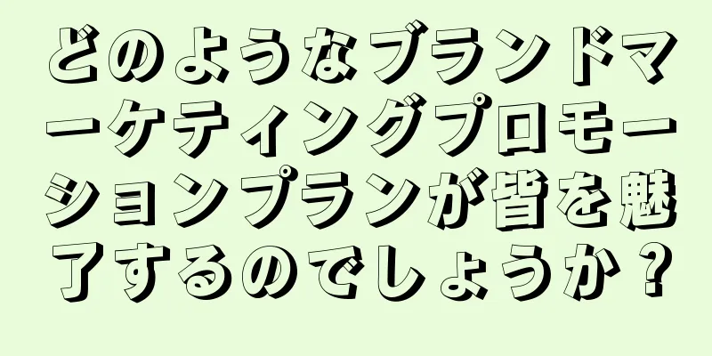 どのようなブランドマーケティングプロモーションプランが皆を魅了するのでしょうか？