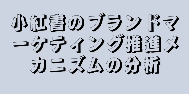 小紅書のブランドマーケティング推進メカニズムの分析
