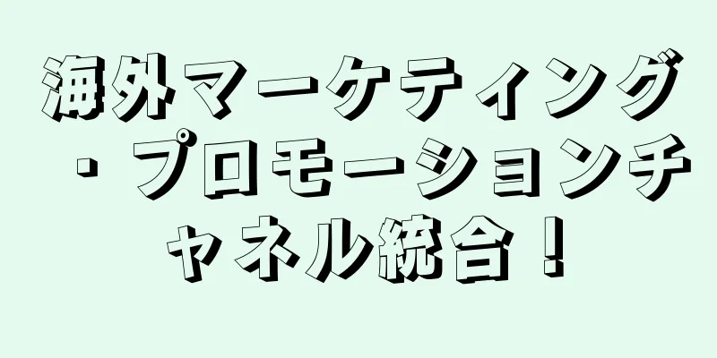 海外マーケティング・プロモーションチャネル統合！