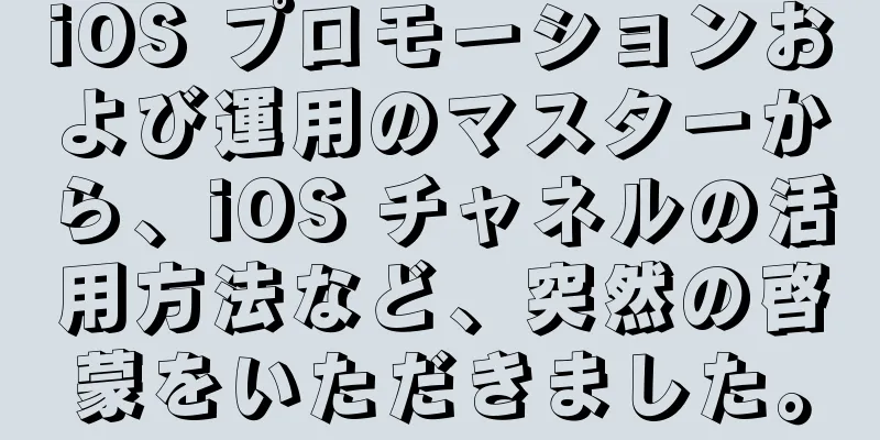 iOS プロモーションおよび運用のマスターから、iOS チャネルの活用方法など、突然の啓蒙をいただきました。