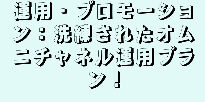 運用・プロモーション：洗練されたオムニチャネル運用プラン！