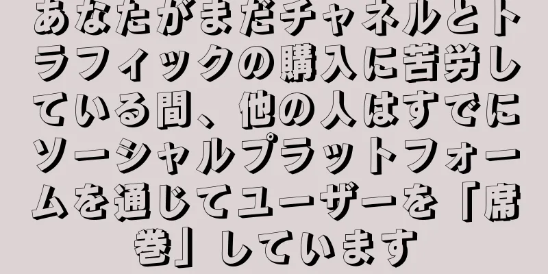 あなたがまだチャネルとトラフィックの購入に苦労している間、他の人はすでにソーシャルプラットフォームを通じてユーザーを「席巻」しています