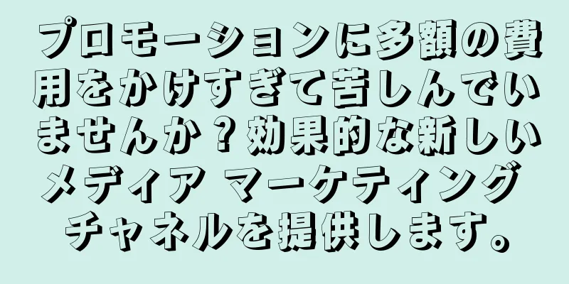 プロモーションに多額の費用をかけすぎて苦しんでいませんか？効果的な新しいメディア マーケティング チャネルを提供します。