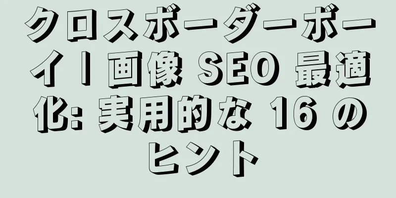 クロスボーダーボーイ | 画像 SEO 最適化: 実用的な 16 のヒント