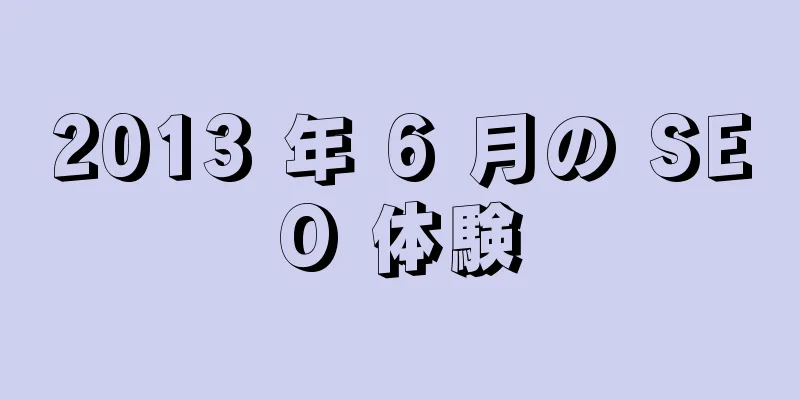 2013 年 6 月の SEO 体験