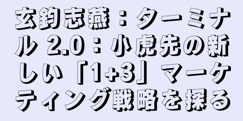 玄鈞志燕：ターミナル 2.0：小虎先の新しい「1+3」マーケティング戦略を探る