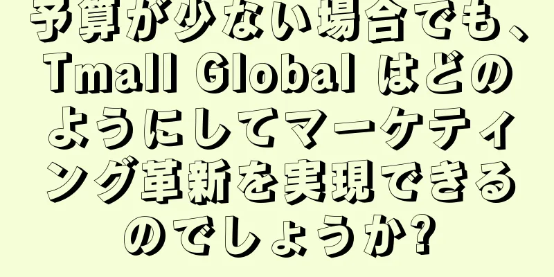 予算が少ない場合でも、Tmall Global はどのようにしてマーケティング革新を実現できるのでしょうか?