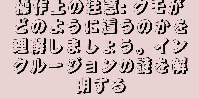 操作上の注意: クモがどのように這うのかを理解しましょう。インクルージョンの謎を解明する
