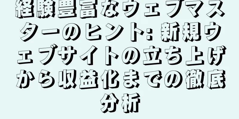 経験豊富なウェブマスターのヒント: 新規ウェブサイトの立ち上げから収益化までの徹底分析