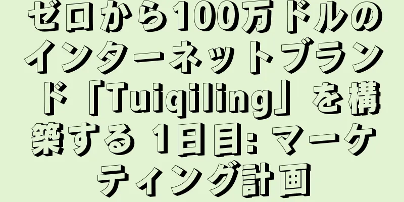 ゼロから100万ドルのインターネットブランド「Tuiqiling」を構築する 1日目: マーケティング計画