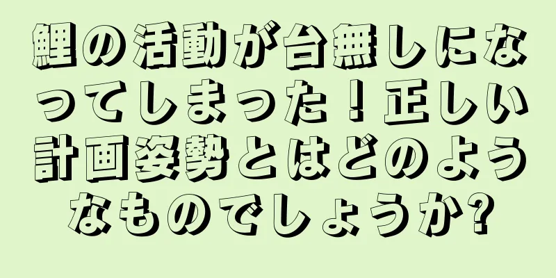 鯉の活動が台無しになってしまった！正しい計画姿勢とはどのようなものでしょうか?