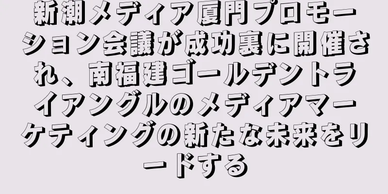 新潮メディア厦門プロモーション会議が成功裏に開催され、南福建ゴールデントライアングルのメディアマーケティングの新たな未来をリードする