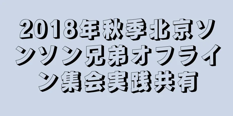 2018年秋季北京ソンソン兄弟オフライン集会実践共有