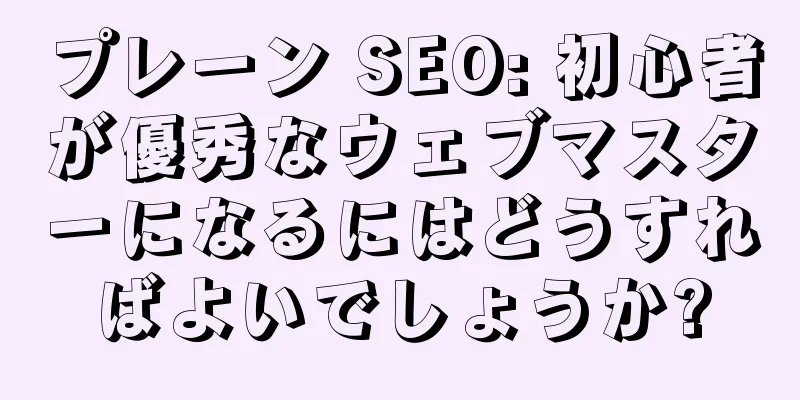 プレーン SEO: 初心者が優秀なウェブマスターになるにはどうすればよいでしょうか?