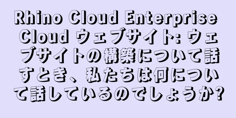 Rhino Cloud Enterprise Cloud ウェブサイト: ウェブサイトの構築について話すとき、私たちは何について話しているのでしょうか?