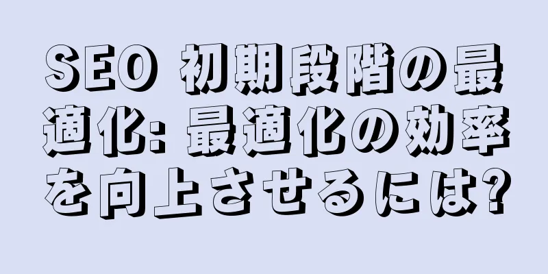 SEO 初期段階の最適化: 最適化の効率を向上させるには?