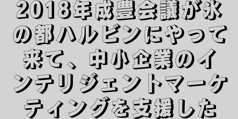 2018年成豊会議が氷の都ハルビンにやって来て、中小企業のインテリジェントマーケティングを支援した