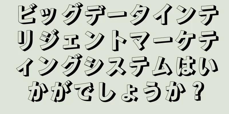 ビッグデータインテリジェントマーケティングシステムはいかがでしょうか？
