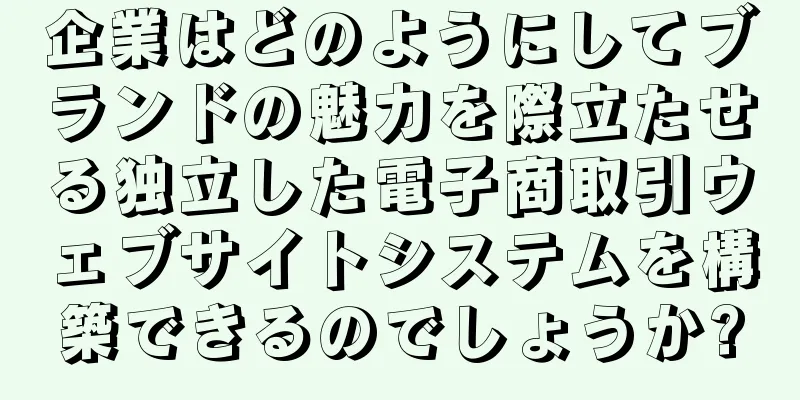 企業はどのようにしてブランドの魅力を際立たせる独立した電子商取引ウェブサイトシステムを構築できるのでしょうか?