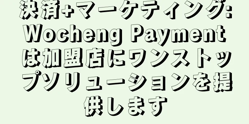 決済+マーケティング:Wocheng Paymentは加盟店にワンストップソリューションを提供します