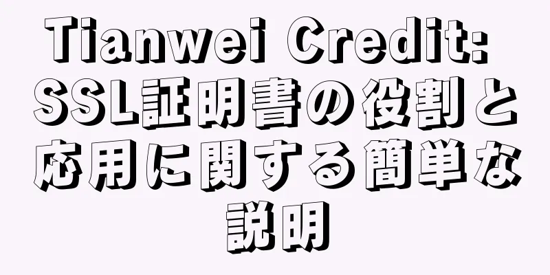 Tianwei Credit: SSL証明書の役割と応用に関する簡単な説明