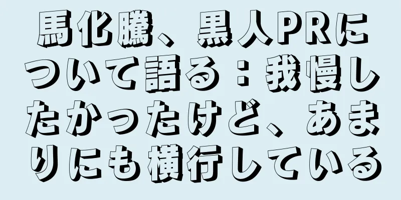 馬化騰、黒人PRについて語る：我慢したかったけど、あまりにも横行している