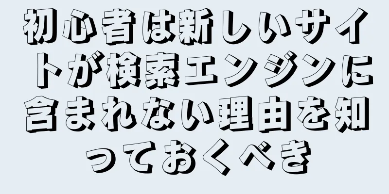 初心者は新しいサイトが検索エンジンに含まれない理由を知っておくべき