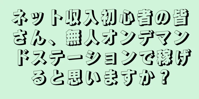 ネット収入初心者の皆さん、無人オンデマンドステーションで稼げると思いますか？