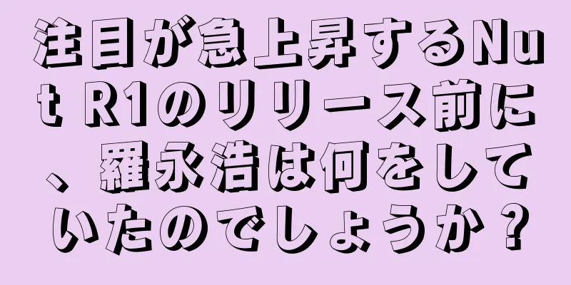 注目が急上昇するNut R1のリリース前に、羅永浩は何をしていたのでしょうか？