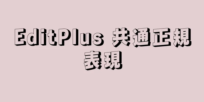 EditPlus 共通正規表現