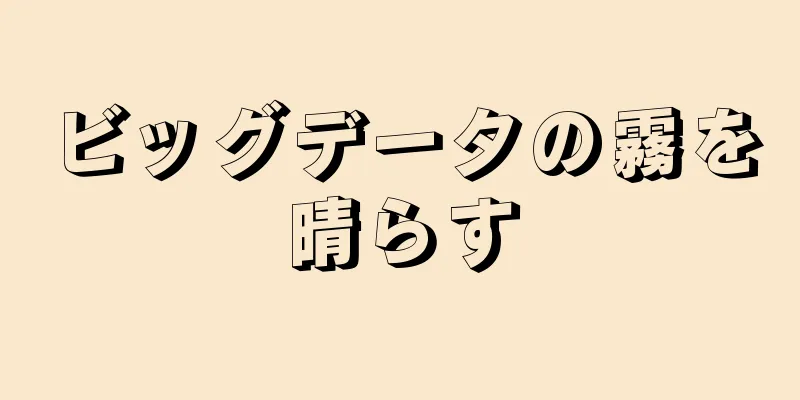 ビッグデータの霧を晴らす