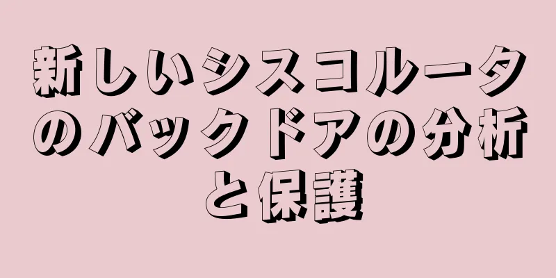 新しいシスコルータのバックドアの分析と保護
