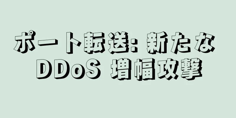 ポート転送: 新たな DDoS 増幅攻撃