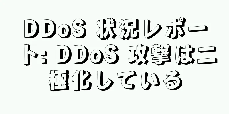 DDoS 状況レポート: DDoS 攻撃は二極化している