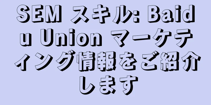 SEM スキル: Baidu Union マーケティング情報をご紹介します