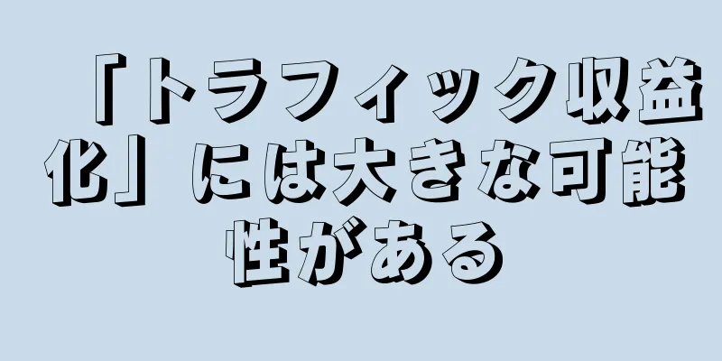 「トラフィック収益化」には大きな可能性がある