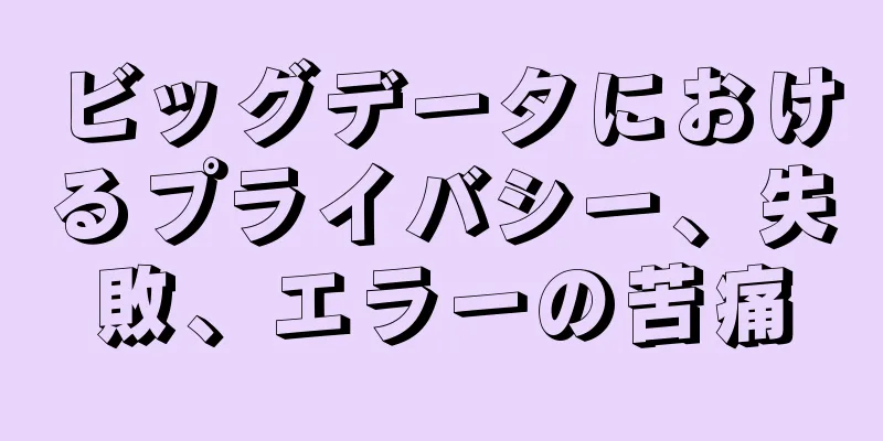 ビッグデータにおけるプライバシー、失敗、エラーの苦痛