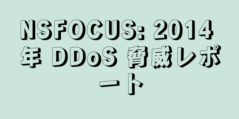 NSFOCUS: 2014 年 DDoS 脅威レポート