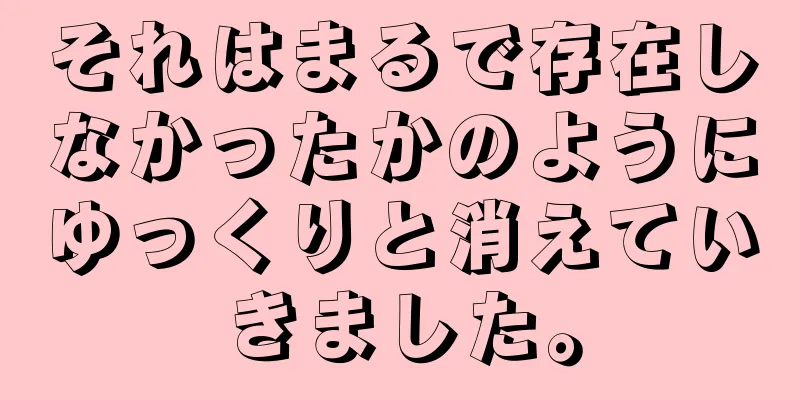 それはまるで存在しなかったかのようにゆっくりと消えていきました。